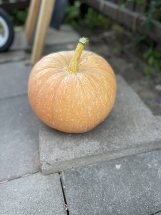 En färsk 4 kg pumpa på en stentrappa med suddig bakgrund.