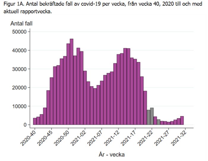 Histogram över bekräftade fall av covid-19 per vecka från 2020 vecka 40 till 2021 vecka 32.