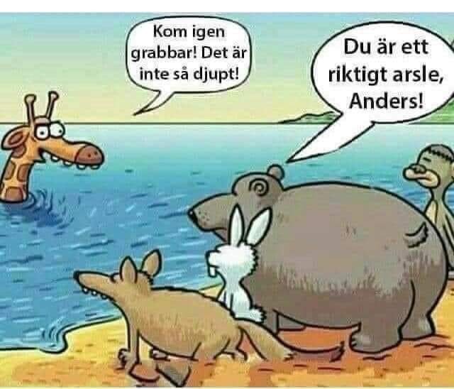 Tecknad bild av djur på strand med pratbubblor: giraff i vattnet, upprörd bäver säger till anka.