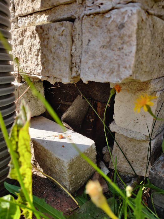 Skadad garagets vägg med synliga sprickor och trasigt tegel omgiven av vegetation.