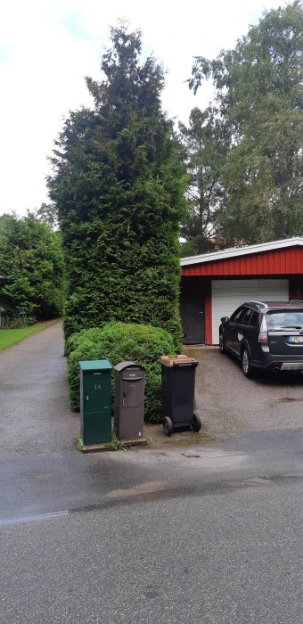 Hög häckthuja växer bredvid uppfart med postlådor och en parkerad bil framför garage.