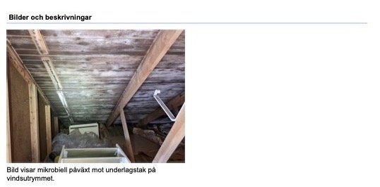 Takvind med synlig mögelpåväxt på undersidan av underlagstaket.