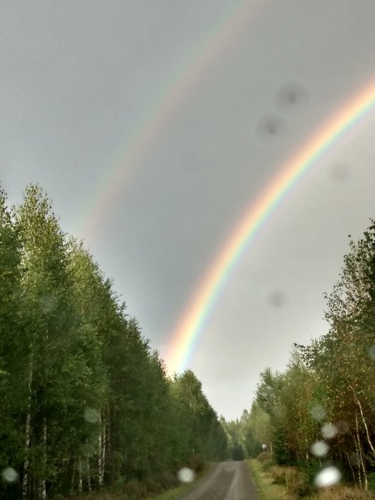 Dubbel regnbåge ovanför en skogsbilväg under regnig himmel med vattendroppar på linsen.