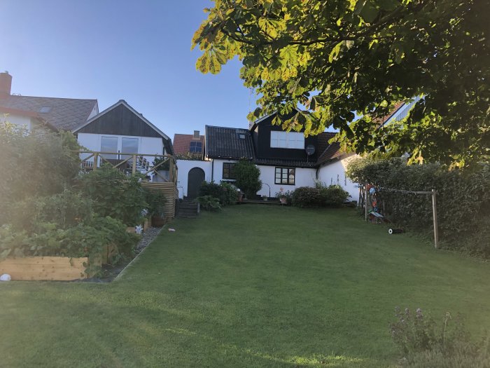 Välskött trädgård med gräsmatta framför ett vit och svart hus med kring vegetation i solsken.