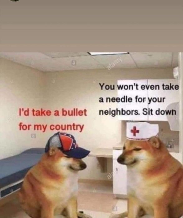 Två hundar i en sjukhusmiljö med pratbubblor om att ta en kula för landet och ta en nål för grannarna.