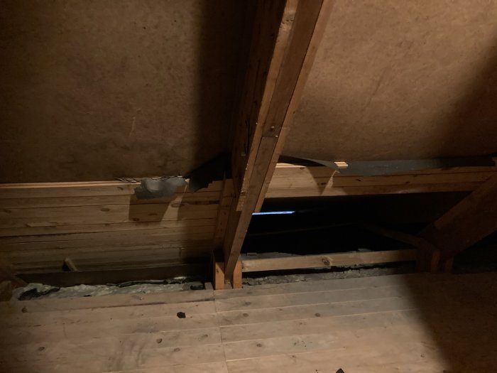 Mörkt vindutrymme med träbjälkar och takpapp där en rosaktig fläck syns som misstänks vara mögel.