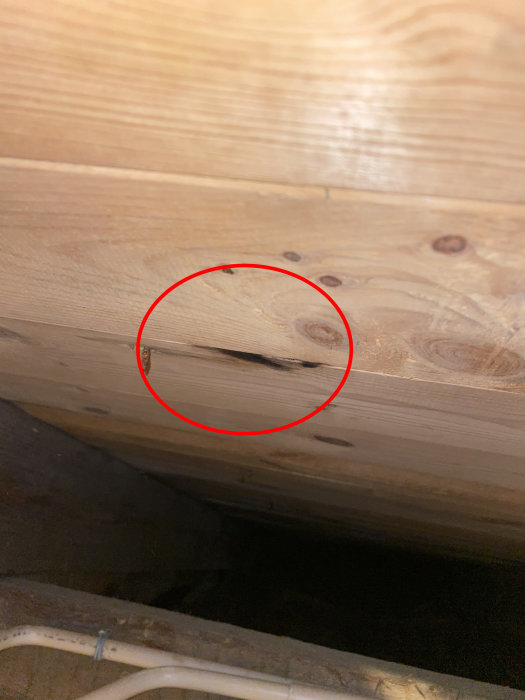 Takstol på vind med fuktskador och en markerad fläck där regnvatten har läckt in.