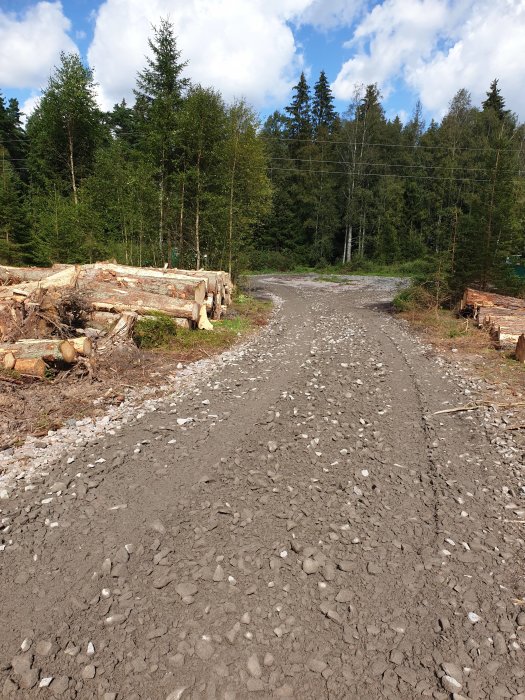 Grusad skogsväg med högar av avverkat timmer och en nyanlagd vändplats under ledningsgator.