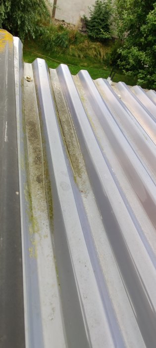 Altantak i plast med synlig deformation och vattenansamling nära hängrännan, omgiven av grönska.