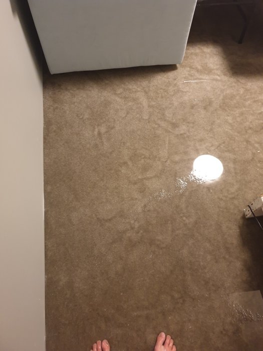 Vann på gulvteppet i en kjeller, med delvis synlige føtter og en sofa i bakgrunnen. Omtrent 4-5 cm vann, gulvet er oversvømmet.