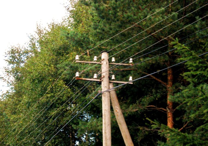 Gamla telefonstolpar med många ledningar och porslinsisolatorer mot en skogsbakgrund.