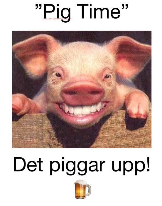 Glad gris som ler, texten "Pig Time" och "Det piggar upp!" med ölkrus-emoji.