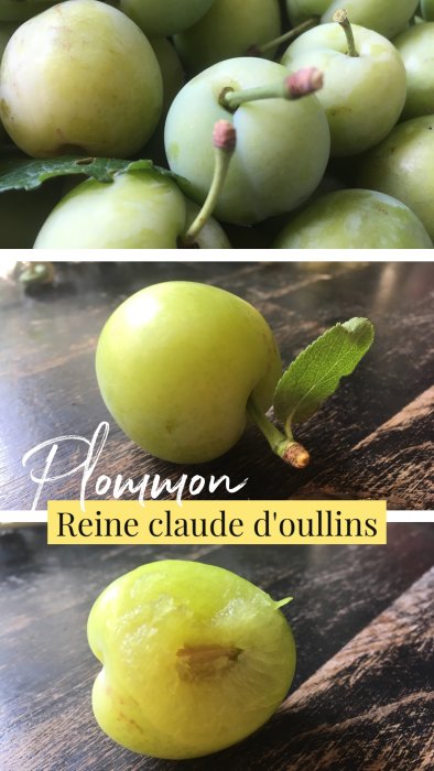 Mogna Reine claude d'oullins plommon, en hel och en med bett, mot en träyta.