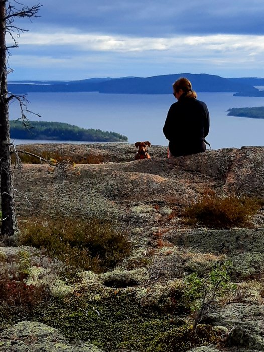 Person sitter vid kustlandskap med hund vid Höga kusten, med skog och hav i bakgrunden.