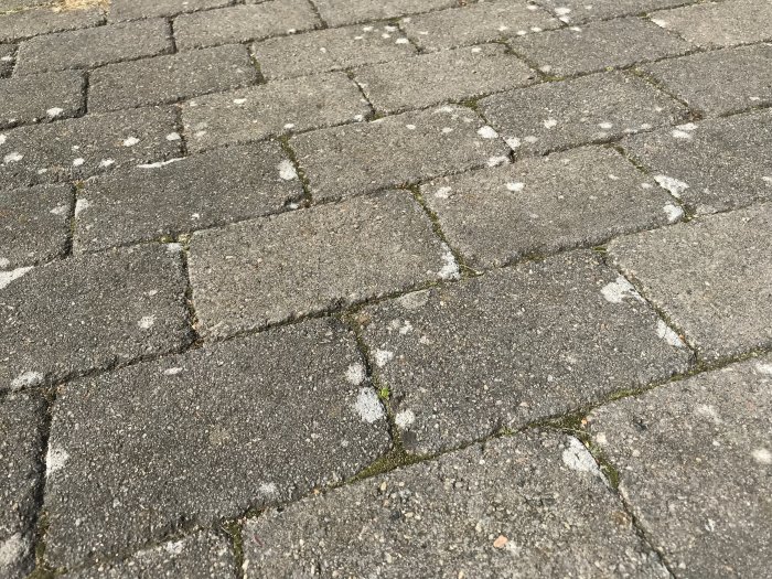 Stenläggning med vita fläckar som indikerar kalkavlagringar eller rengöringsmedelsrester som behöver tas om hand.