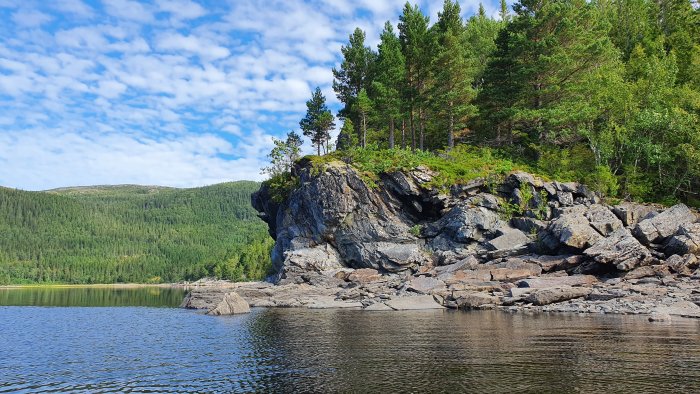 Skogsbeklädd klippa vid en lugn sjö med spegling i vattnet under klarblå himmel.