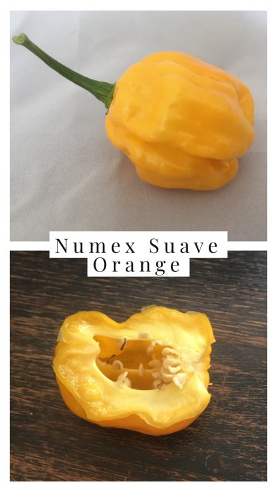 Omoget gul Numex Suave Orange chili på bord: hel frukt överst och halverad frukt nedanför.