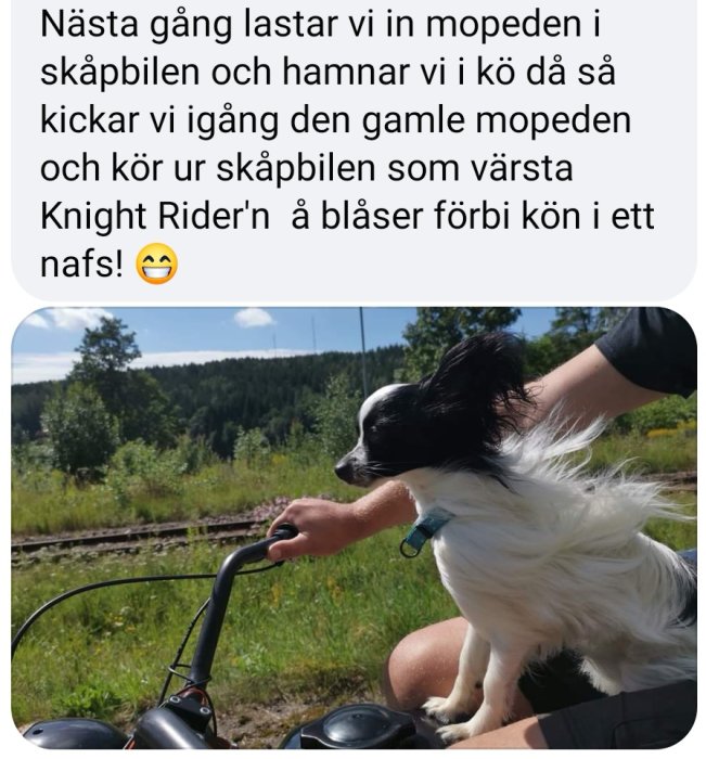 Svartvit hund sitter på förarsätet av en moped, med natur och järnvägsspår i bakgrunden.