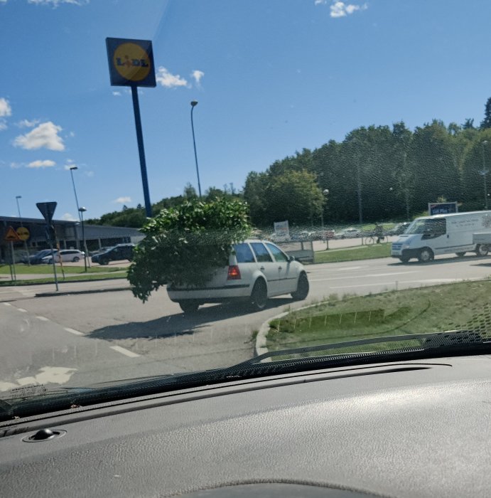Bil överlastad med buskar, ris på väg, Lidl-skylt i bakgrunden.