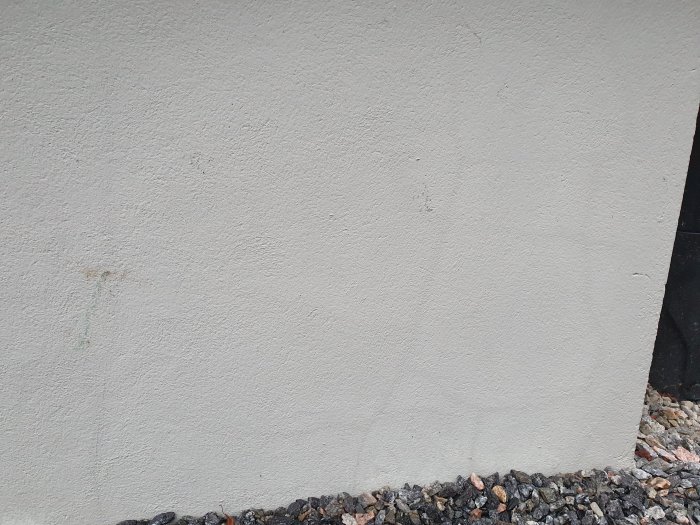 20210825_074921.jpg