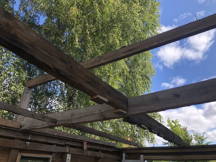 Öppen takkonstruktion med korsande balkar mot en bakgrund av gröna träd och blå himmel.