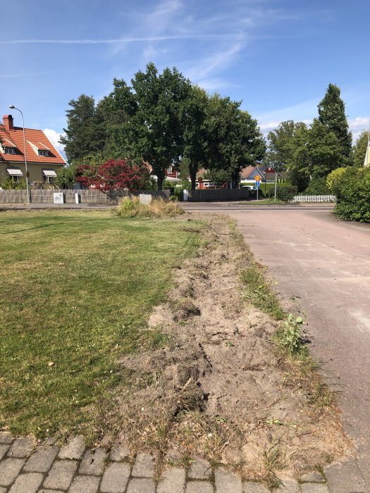 Jordstrimmeln längs en gräsmatta där en gammal häck nyligen tagits bort, med ett bostadsområde i bakgrunden.