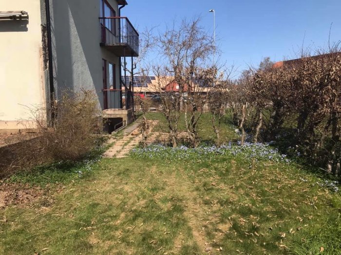 Trädgård med upphöjd altan vid hus och blommande marktäckare längs med en gräsmatta.