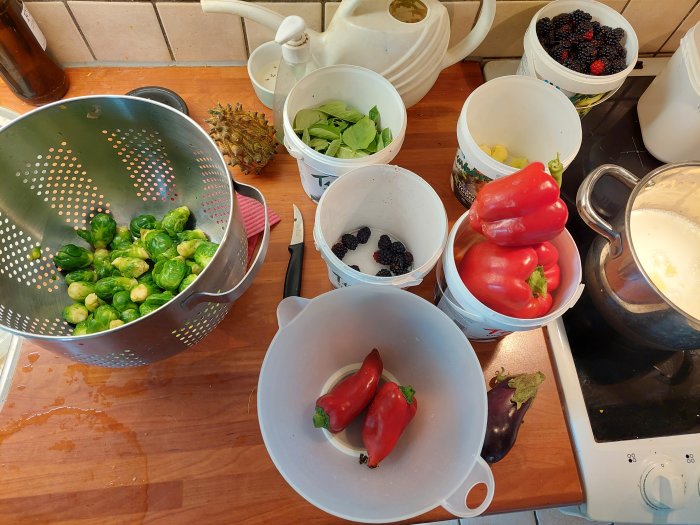Kök med nyskördade grönsaker som brysselkål, paprika, björnbär och ananas på en bänkskiva.