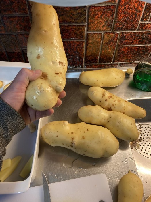 Hand håller en stor potatis med flera andra potatisar på en köksbänk.