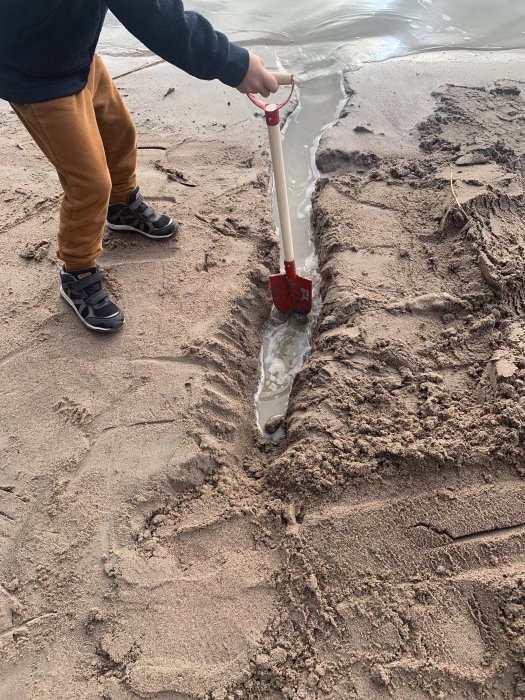 Barn gräver en kanal i sanden vid en strand med en röd spade.