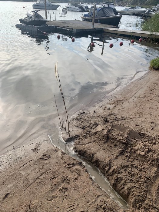 Sandstrand med ett handgrävt "kanalbygge" som leder till en brygga med båtar och vita bojar i vattnet.