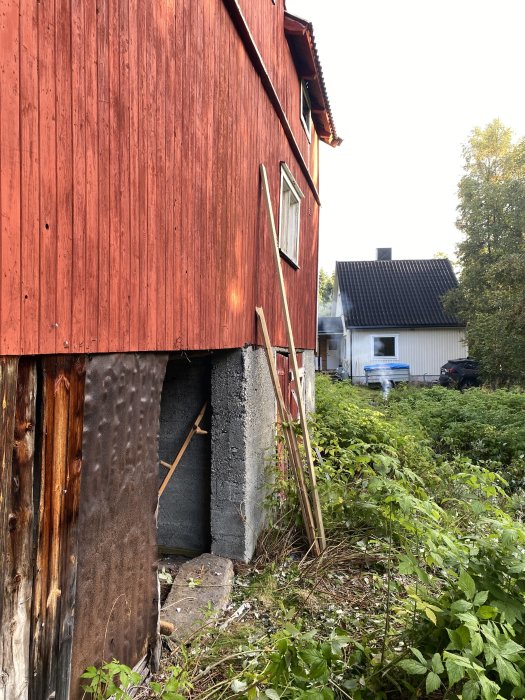 Röd lada med skev grund och vittrade stödpelare bland grönska, med stege lutad mot väggen.