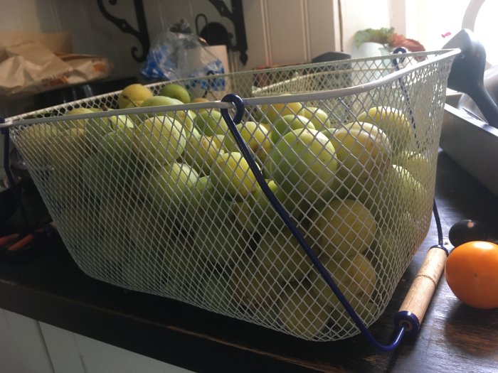 En korg full med plommon, första årets skörd, på en köksbänk.