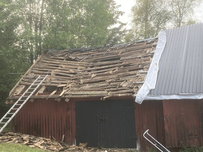 Renovering av ladugårdstak med ny plåt på ena sidan och gammalt trasigt spåntak på andra.