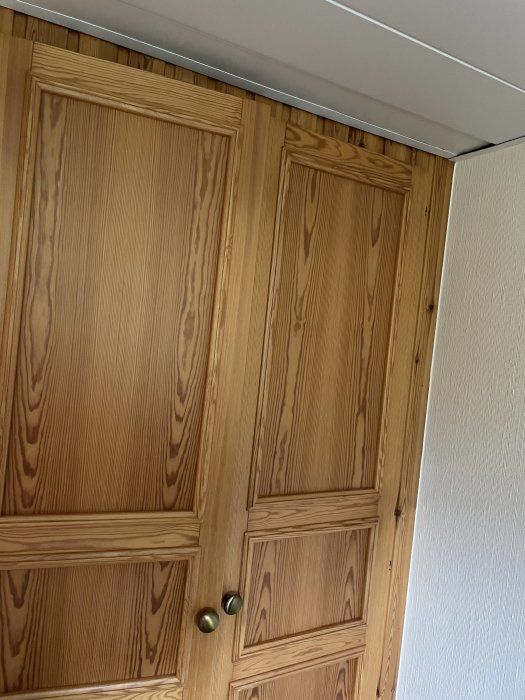 Träpanel och trädörr med lister i källarinteriör, allt i behandlat trä.