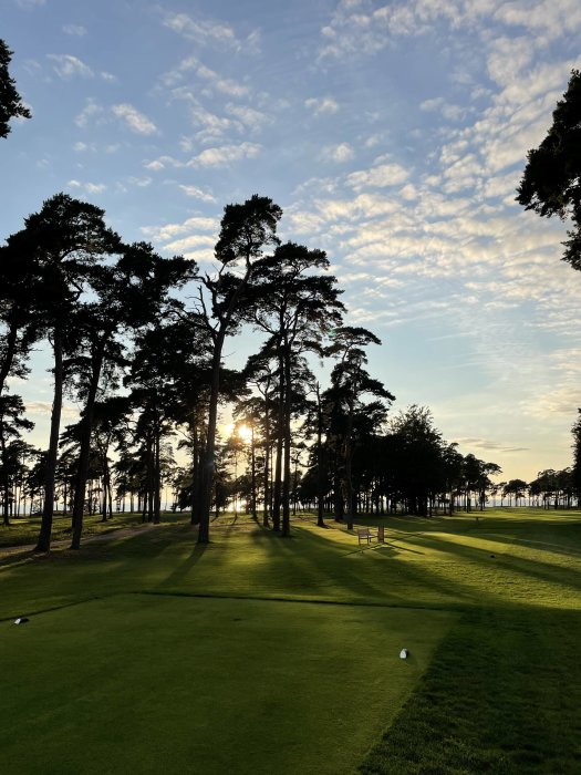 Golfbana med gröna fairways och höga träd i solnedgång med dispergerade moln på himlen.