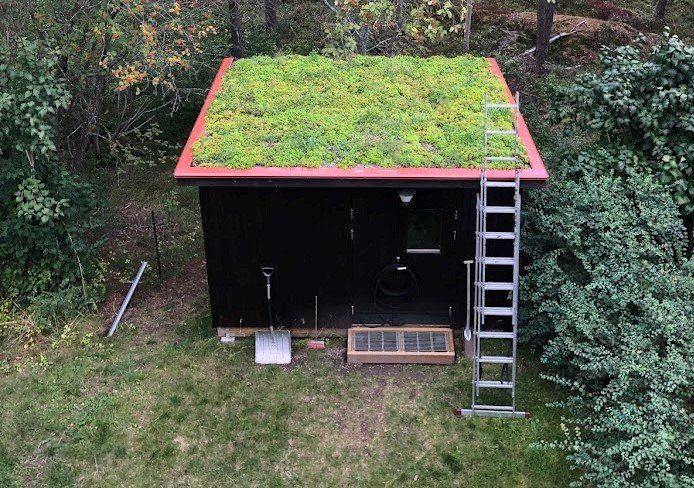 Förråd med sedumtak och röd kant, intill natur, stege appellerad mot ena sidan.