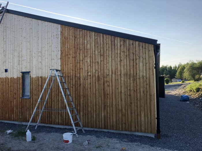 En träfasad med synliga fläckar av svartmögel, en stege och hinkar framför huset.