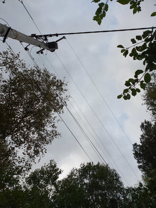 Luftledningar mot en molnig himmel med gröna trädgrenar i förgrunden.