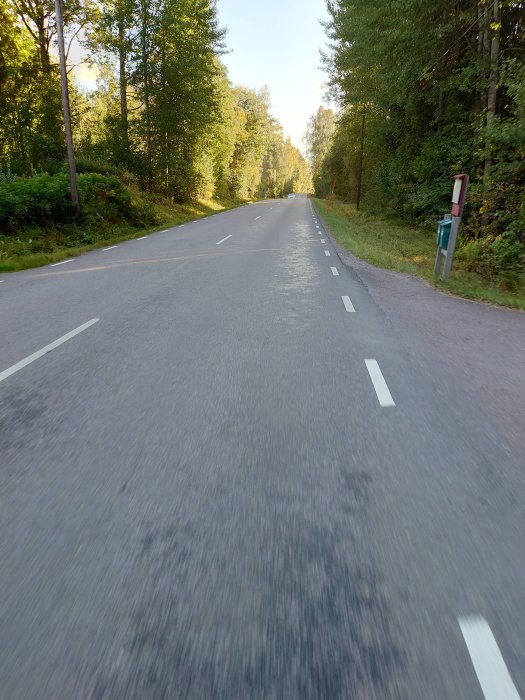 Asfalterad landsväg med vägmarkeringar genom skogsmiljö och en reflektorpåle till vänster.