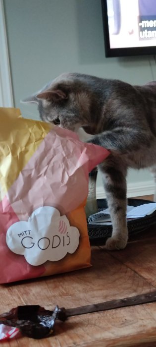 Katt sniffar på en färgglad påse med texten "MITT GODIS".