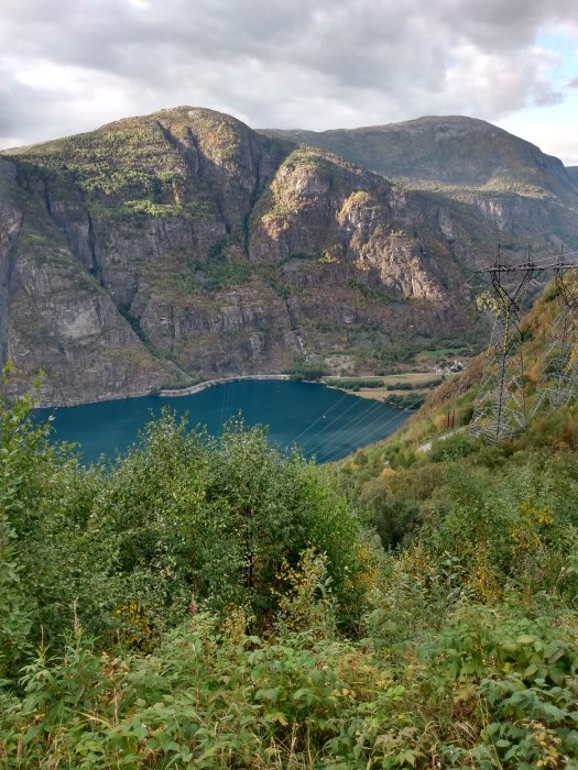 Vy över en fjord med branta berg, grönska och en kraftledningsstolpe.