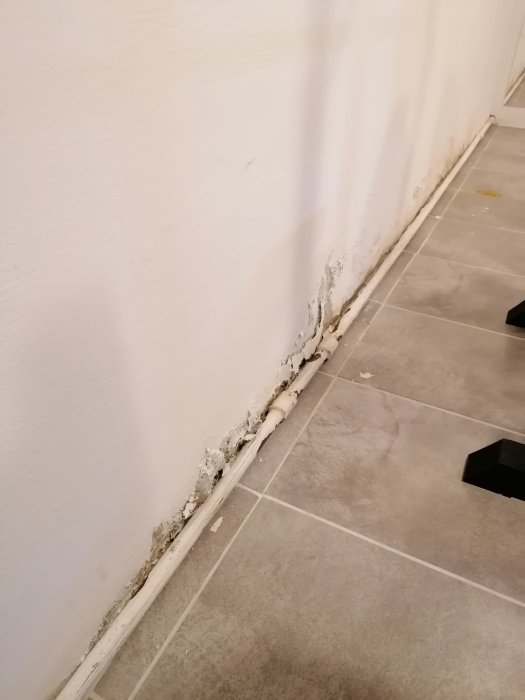 Skador och fukt på källarvägg och golvlist med synligt mögel samt bubblig färg.