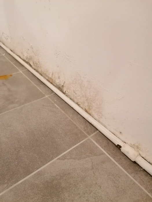 Skador från fukt på en vit källarvägg med synlig mögelbildning och en buktande, vit list längst ned vid gråa golvplattor.