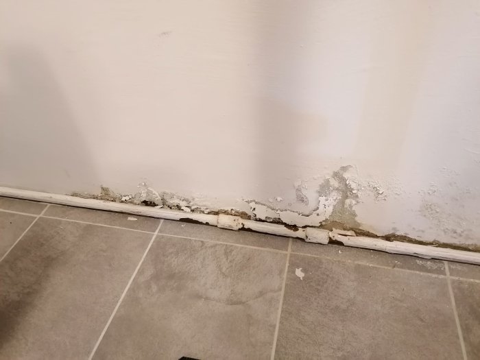 Skadad vägg med mögel och svullnad vid golvlist i en källare som visar tecken på fuktinträngning.