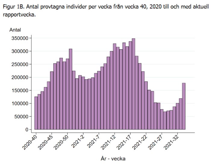 Stapeldiagram över antal provtagna individer per vecka för COVID-19 från 2020 vecka 40 till 2021 vecka 32.