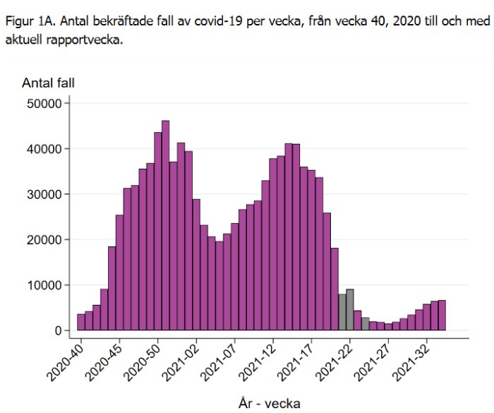 Histogram över antal bekräftade fall av covid-19 per vecka från 2020 vecka 40 till 2021 vecka 34.