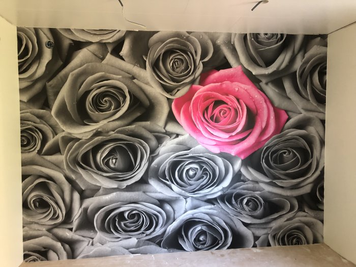 Fototapet med gråtonade rosor och en framträdande rosa ros på en vägg i ett rum under renovering.