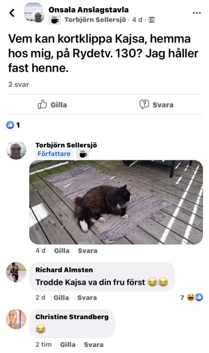 Svartvit katt som ligger på en träaltan bredvid en matta.