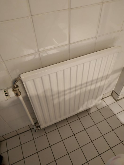 Vit radiator i ett badrum, monterad på en kaklad vägg ovanför ett kaklat golv.